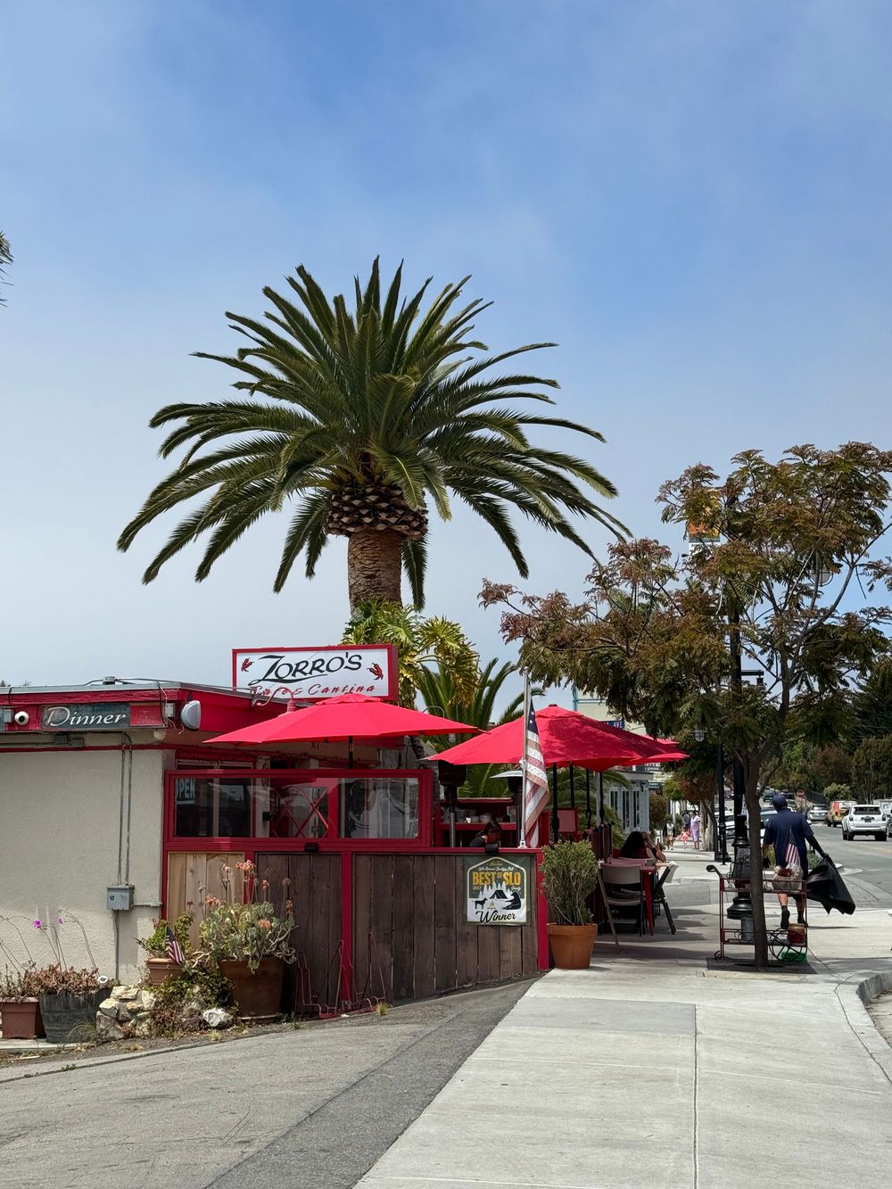 A sequence of connected storefront views showing a business exterior with red awnings and palm trees along a sunny walkway.