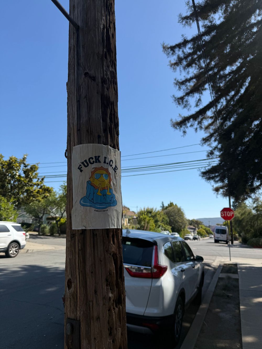 A sequence of dark wooden utility poles against a blue sky with graffiti markings visible on their surfaces.