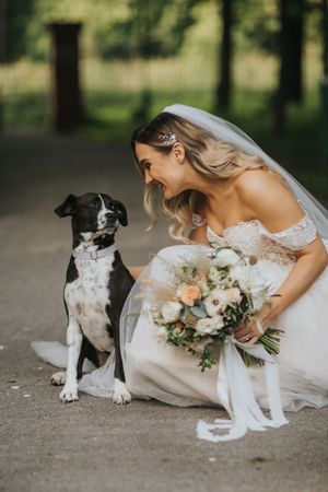 A bride in a white lace gown bends down to interact with a black and white spotted dog holding a floral bouquet.