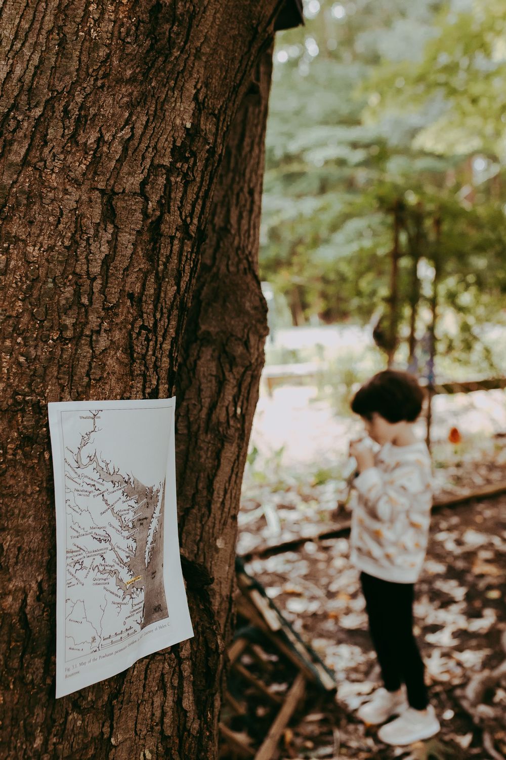 A map on a tree in foreground with little girl in background playing in the woods. Whitney Popp, Arizona photographer