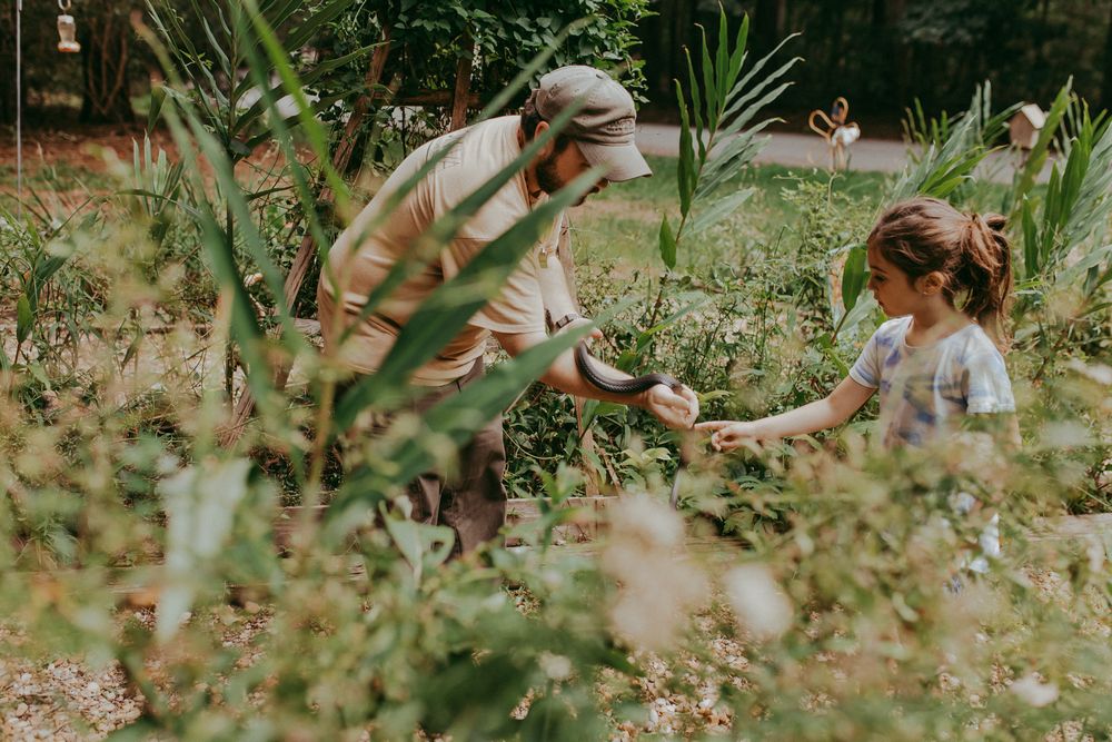 A park ranger lets a little girl pet a rat snack in the garden. Whitney Popp, Arizona photographer