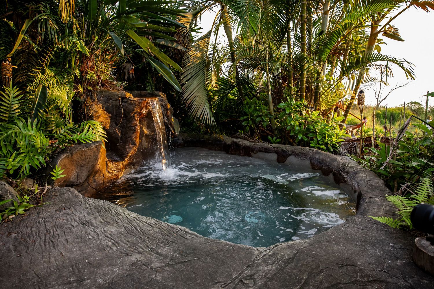 Tropical waterfall surrounded by lush greenery and palm trees in natural setting.