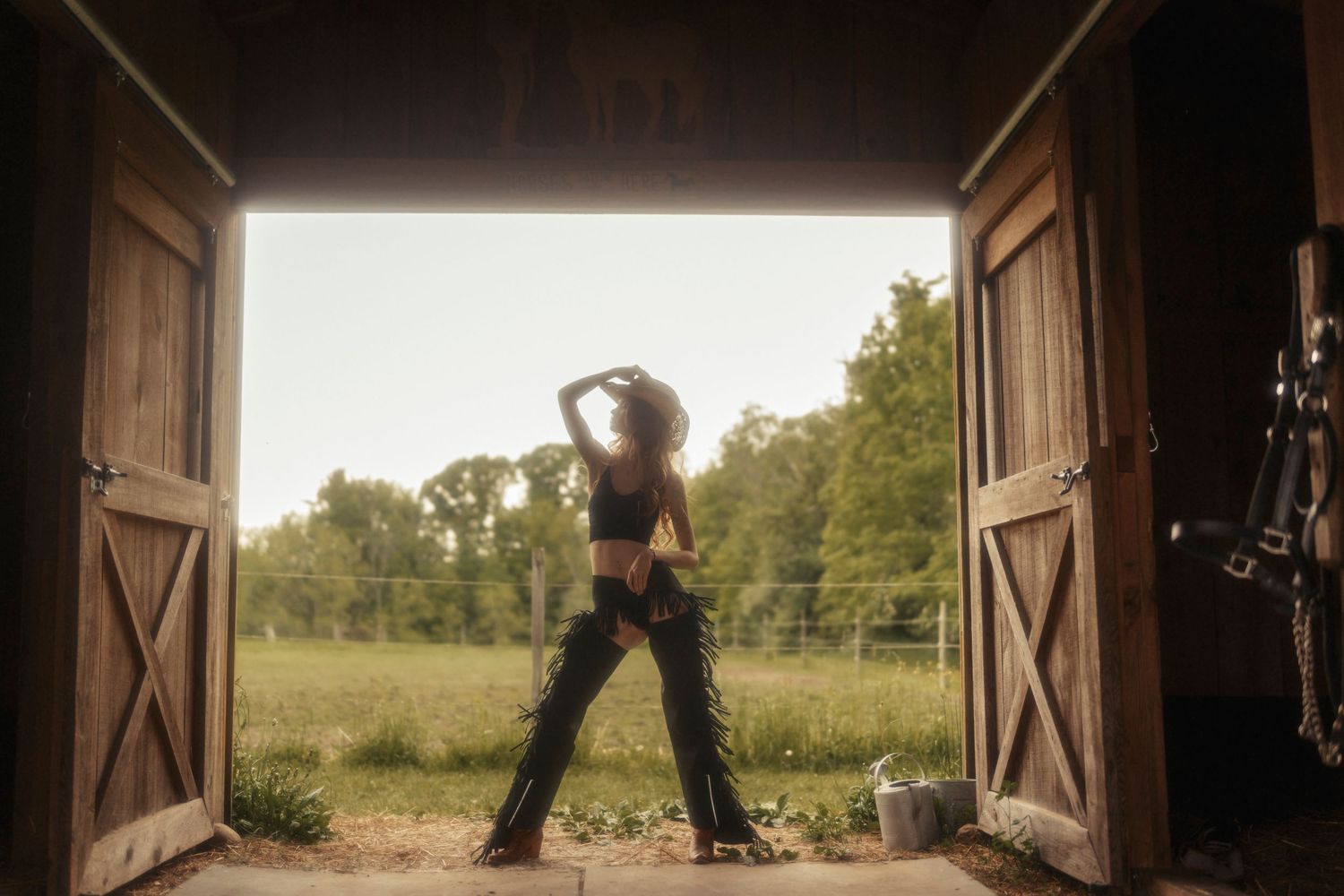 A rustic barn door opens to reveal a serene countryside view with rolling hills and trees in the distance.