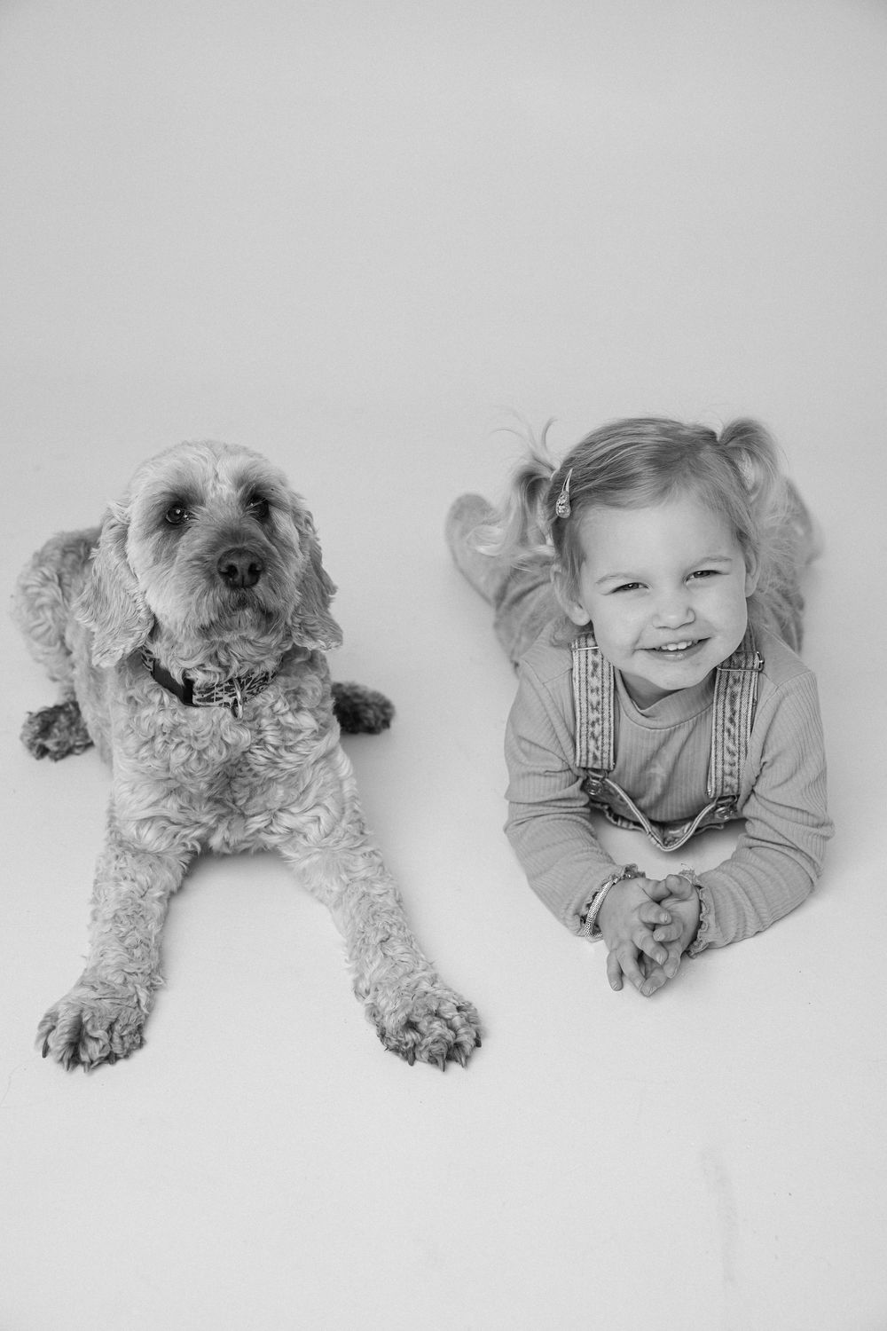 Series showing a child in overalls with a fluffy dog lying on a white background