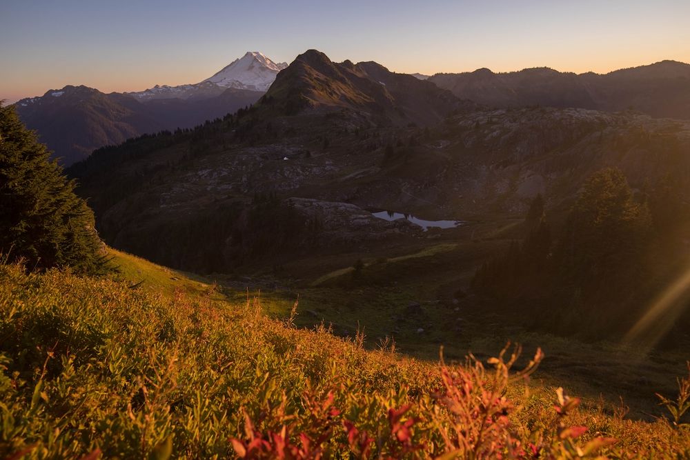 Snow-capped mountain peaks silhouetted against a colorful evening sky with wildflowers in the foreground.