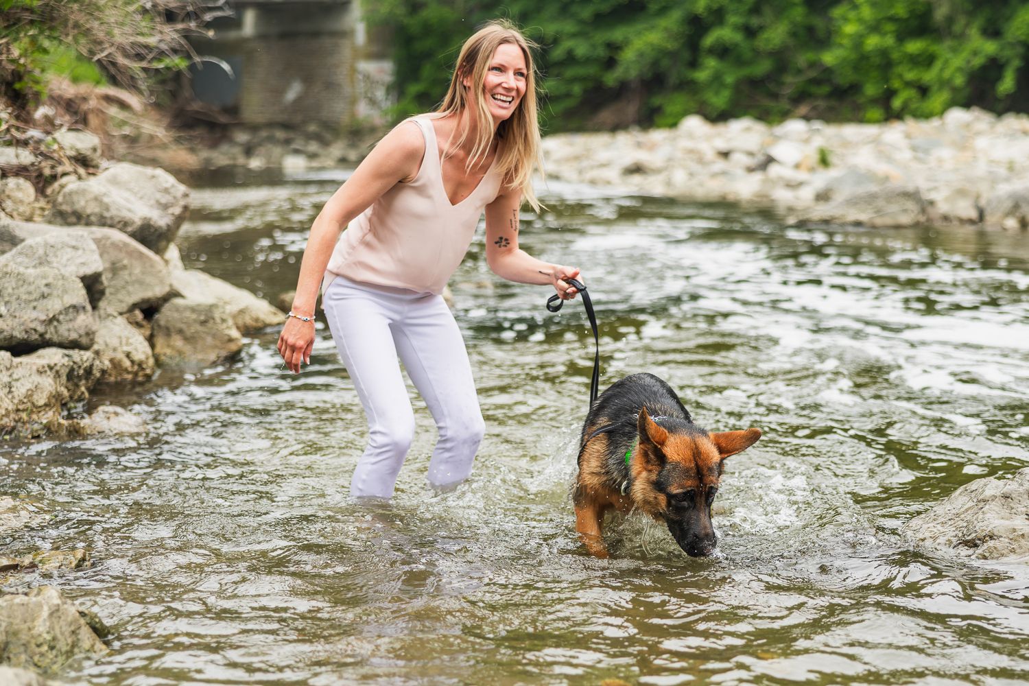 A person wades through a rocky stream with their dog on a summer day.