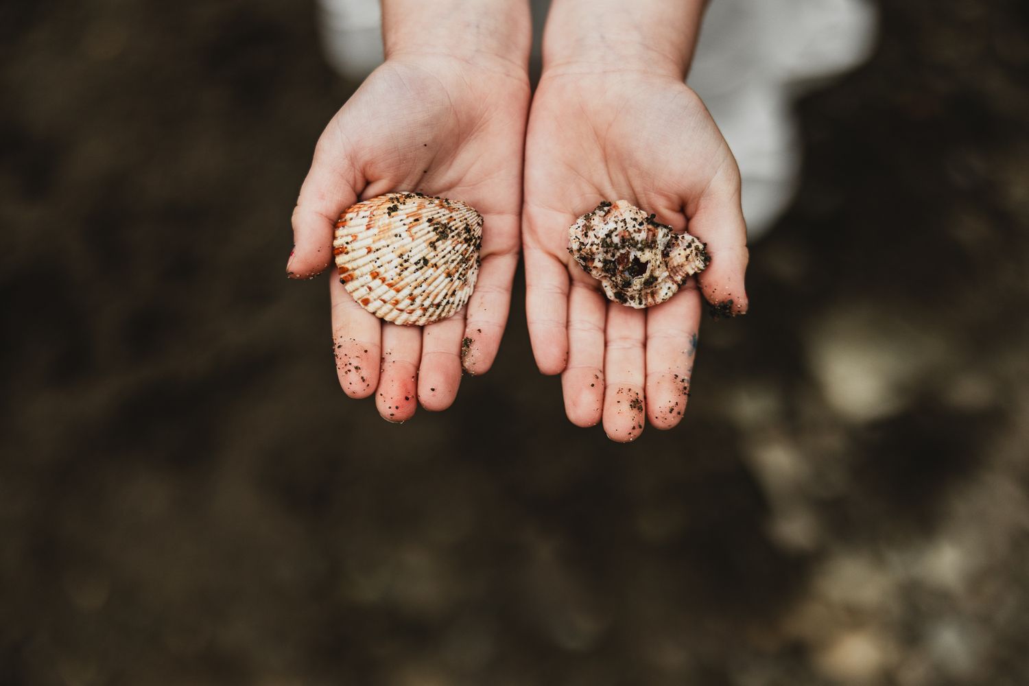 Two open palms holding small piles of bird seed or grain against a dark background.