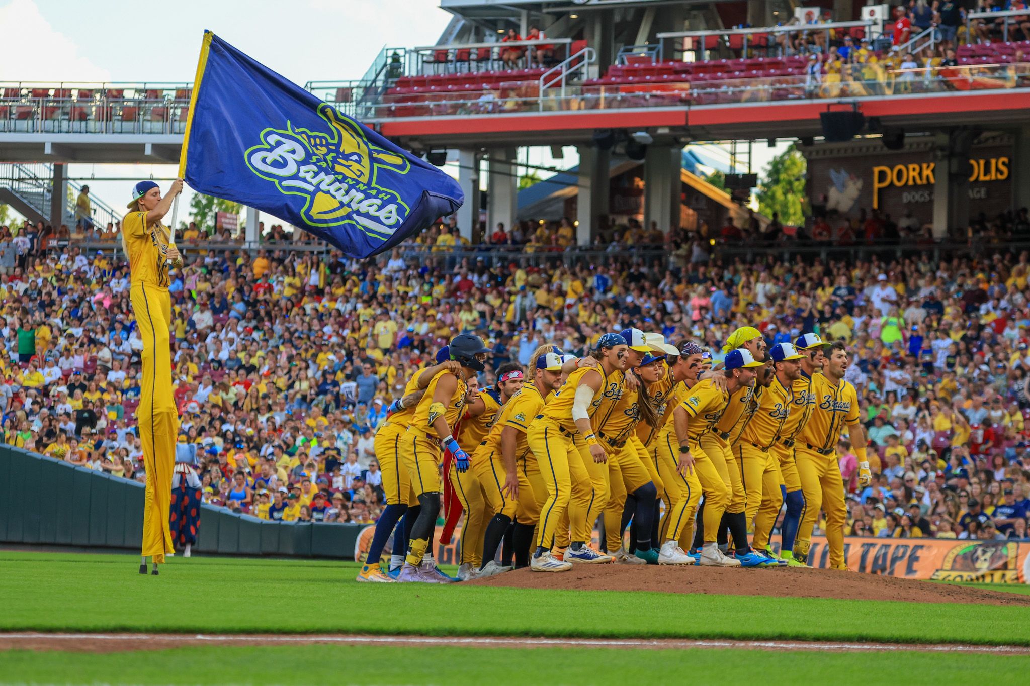 Bengals cheerleaders in yellow uniforms wave a blue flag at a packed baseball stadium during a lively pregame celebration.
