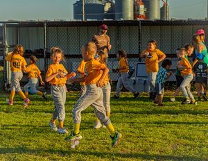Youth baseball players in yellow jerseys run and practice on a sunlit grass field during an evening training session.