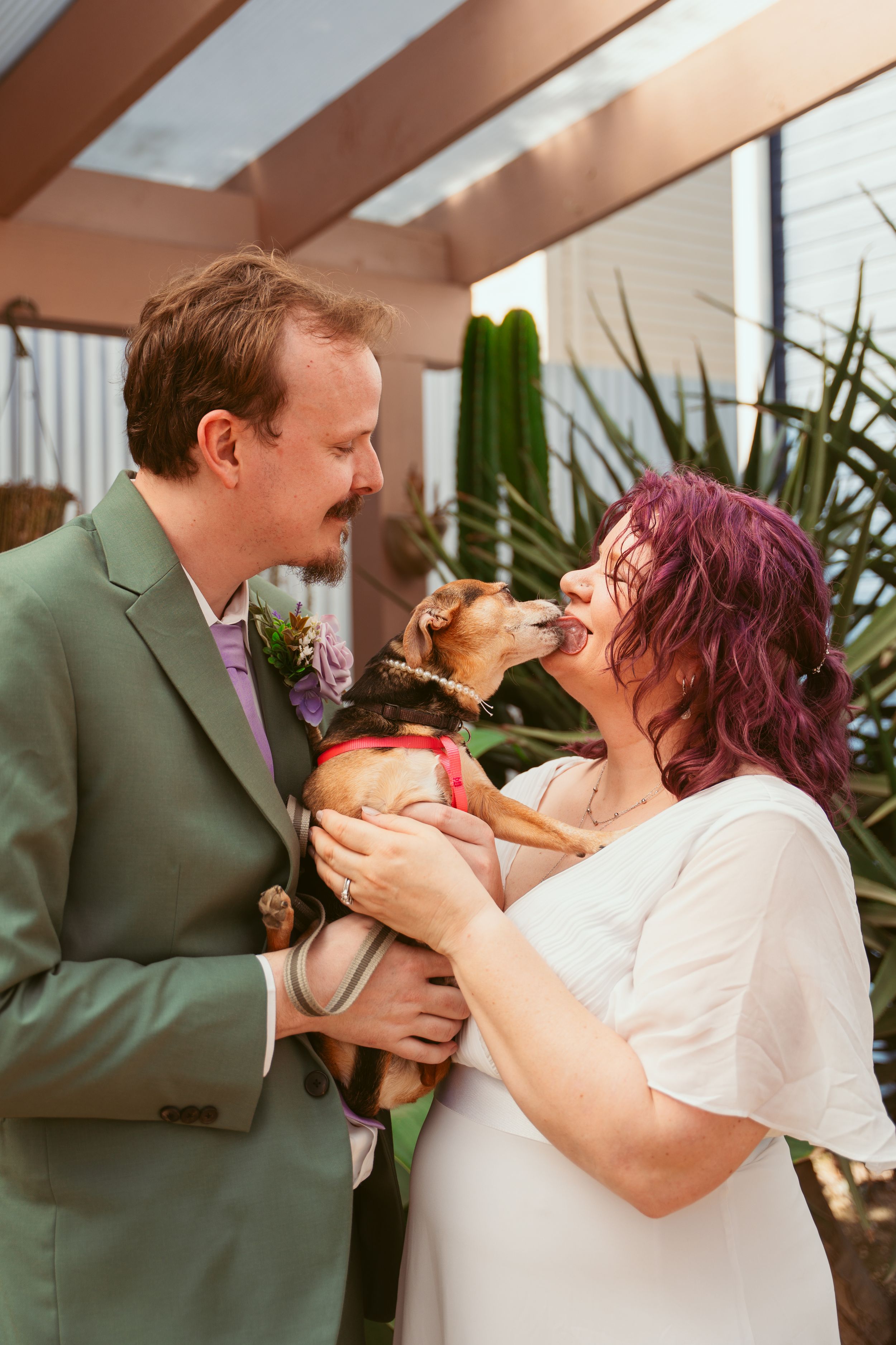 Couple shares joyful moment with their dog during wedding ceremony in greenhouse setting with cacti and plants.