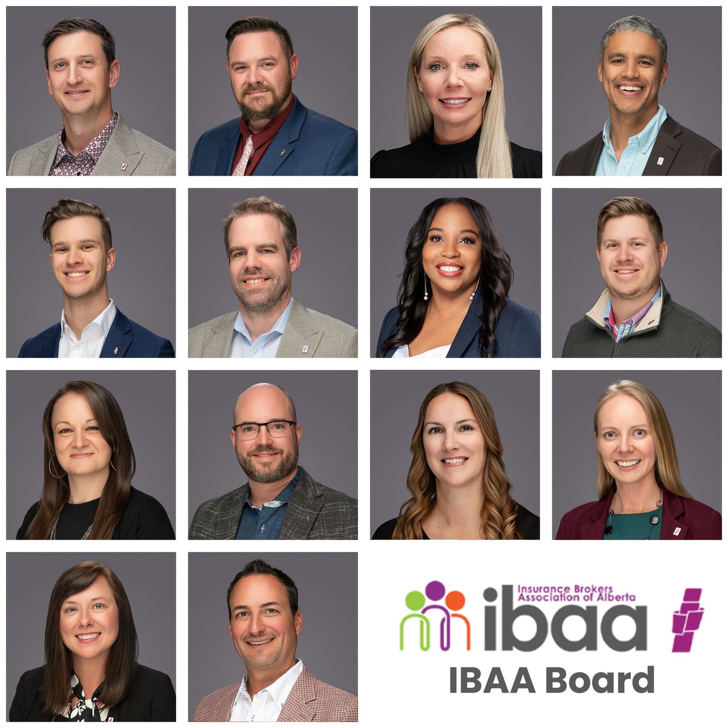 Professional headshot grid showing board members in business attire against gray backgrounds with IBAA organization logo.