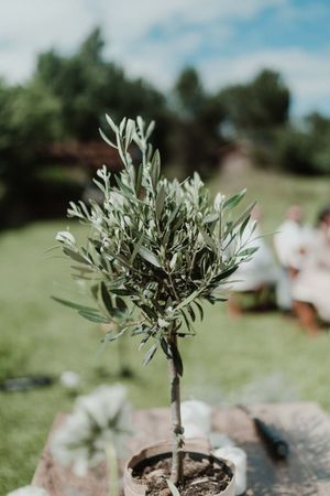 Portugal wedding photographer for rustic elopements