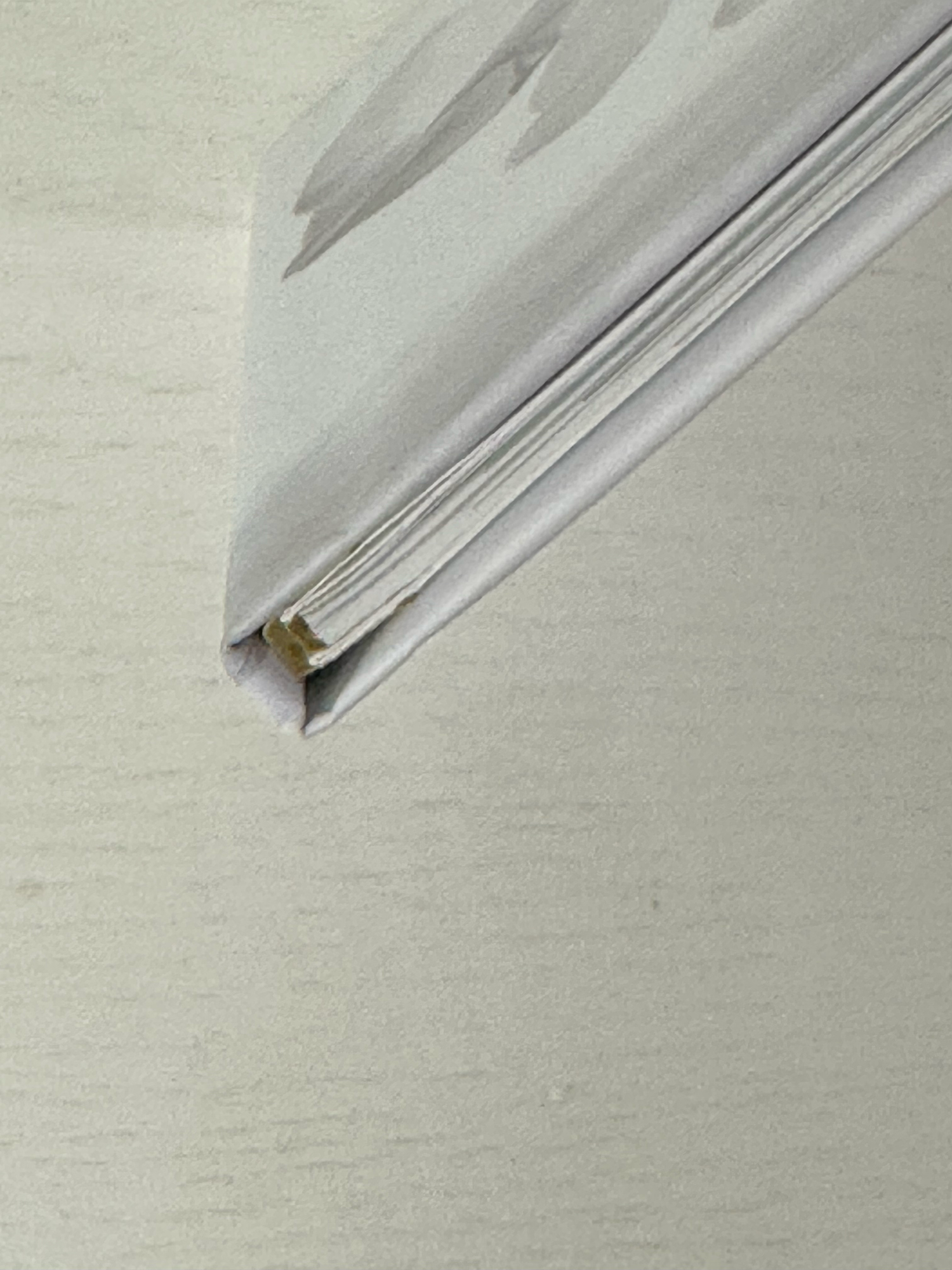 Close-up of a white binder spine with a gold metal clip holding multiple stacked papers against a light background. Photo book