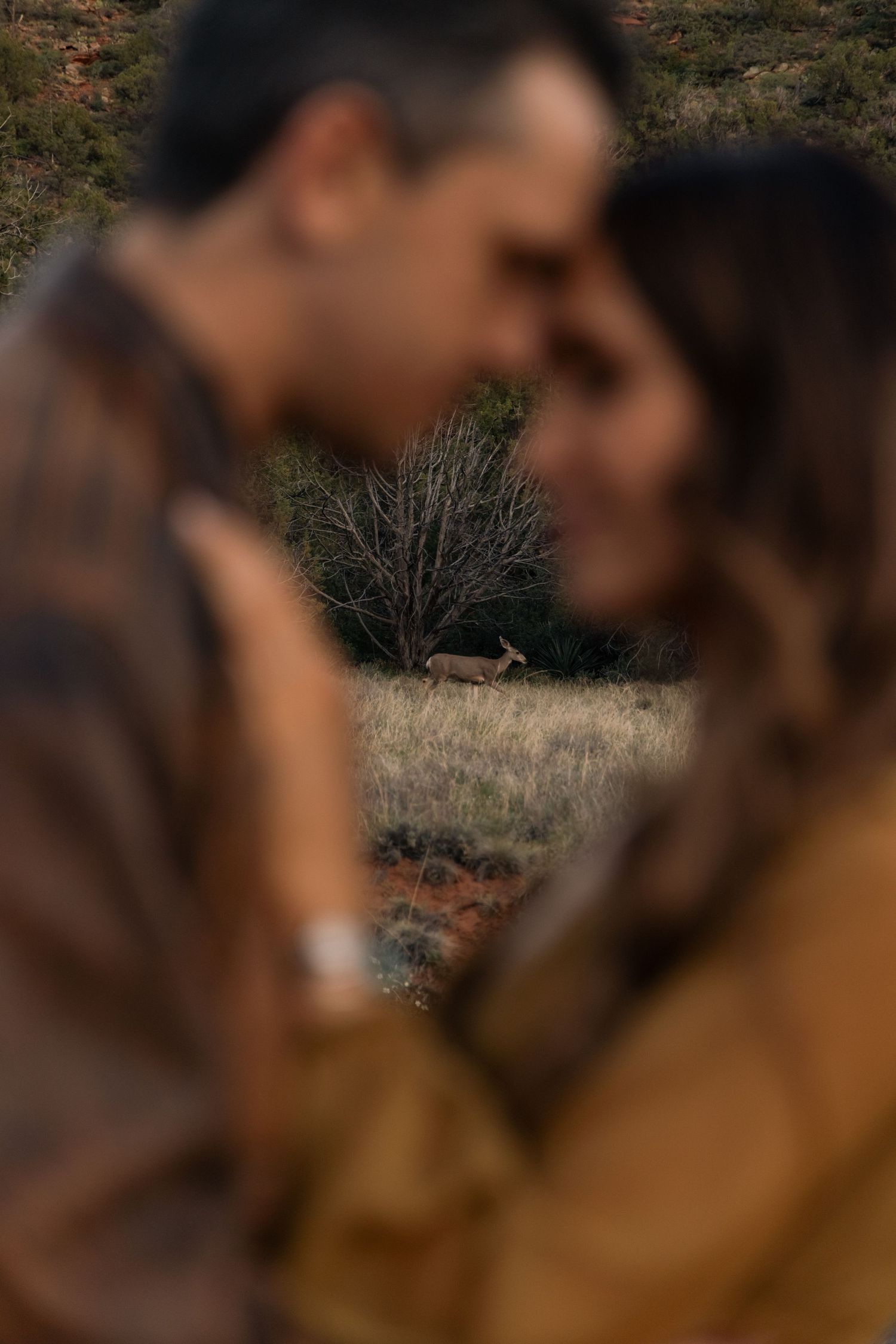A romantic intimate moment captured outdoors against a backdrop of bare trees and autumn landscape.