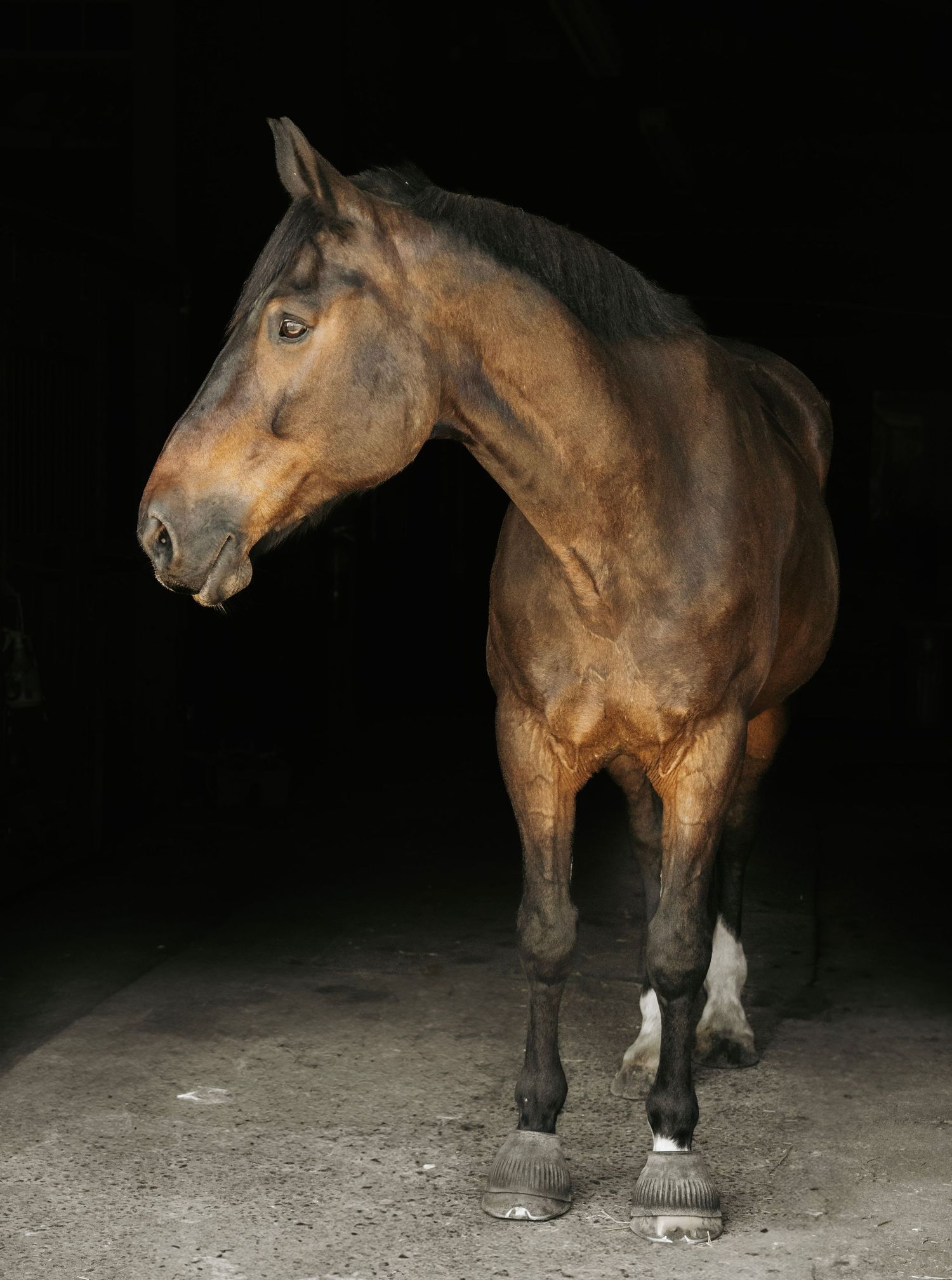 A springtime photo shoot with Nicky for his 20th birthday!