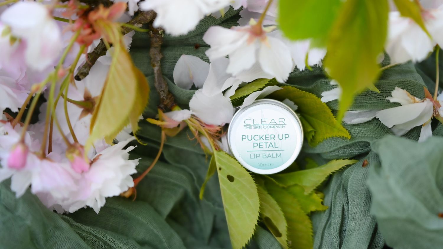 CLEAR Pucker Up Petal lip balm tin nestled among pink cherry blossoms and green leaves outdoors.