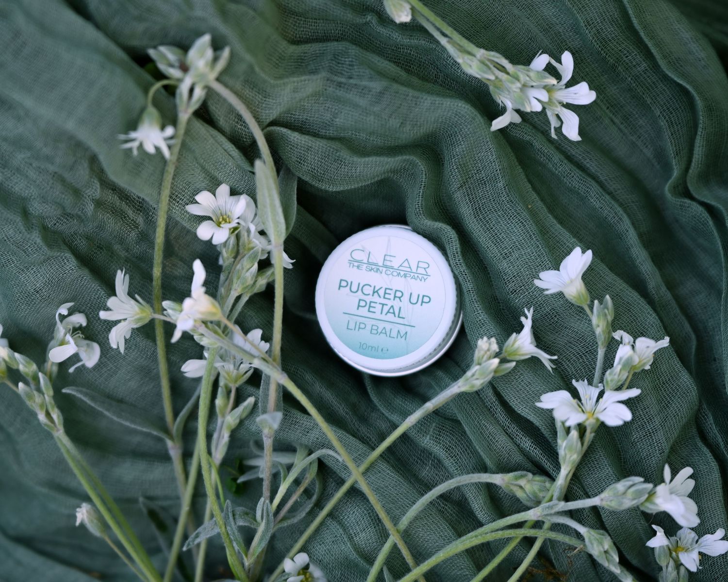 CLEAR Pucker Up Petal lip balm tin on green linen fabric surrounded by delicate white wildflowers.