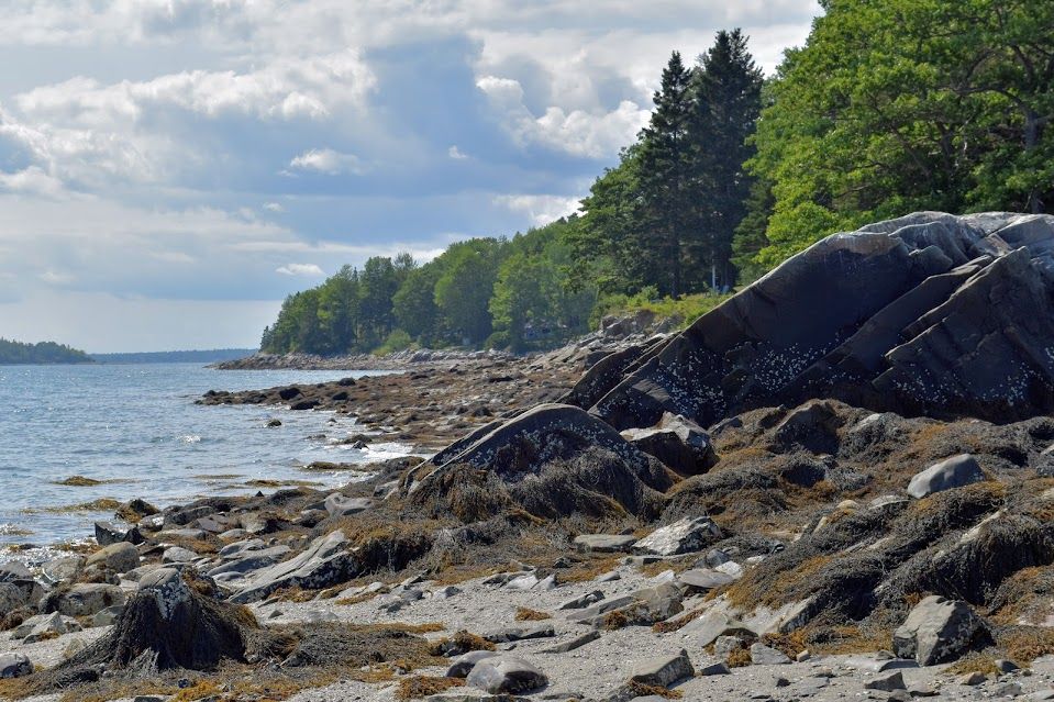 Maine Coast