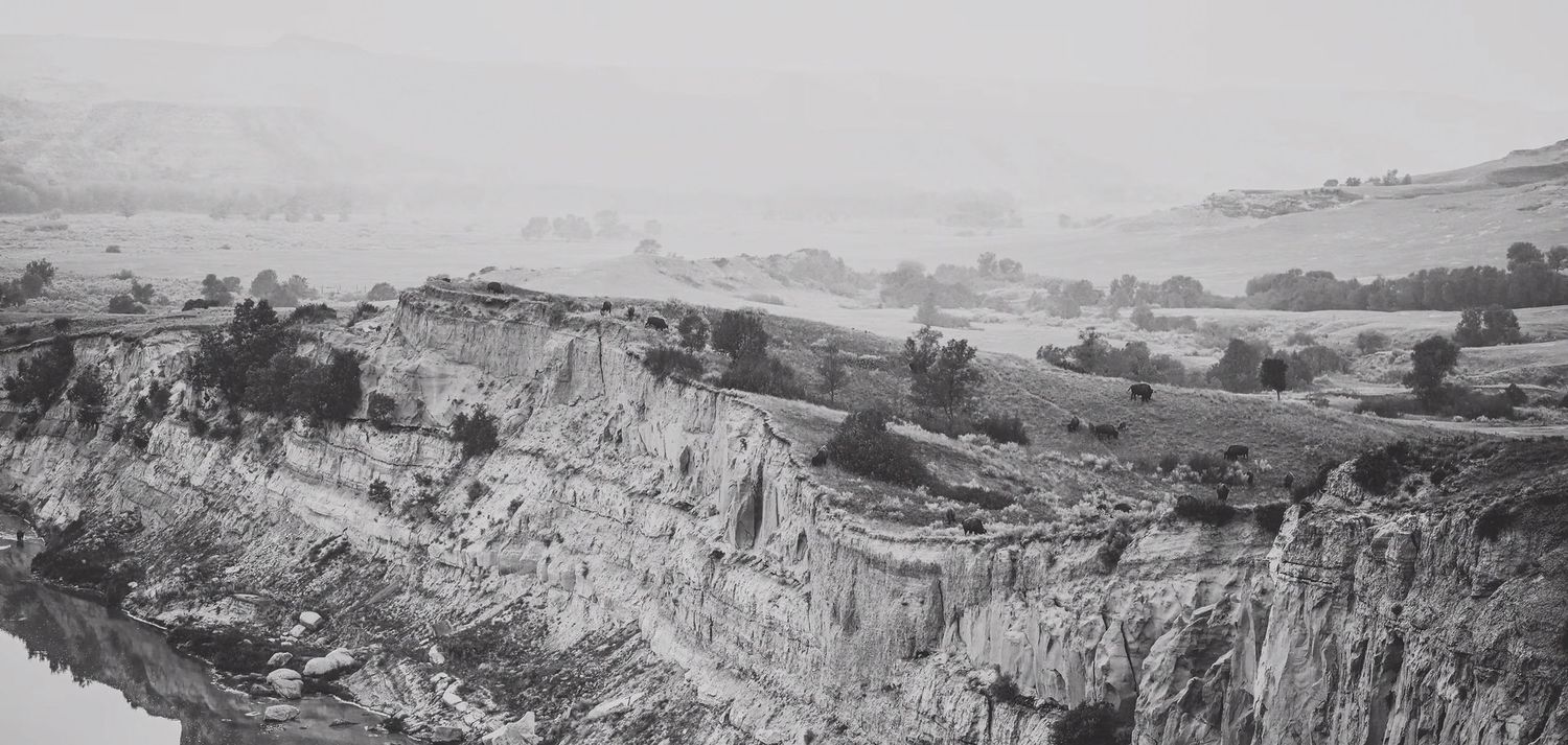 A dramatic black and white landscape photograph showing steep rocky cliffs, buffalo and rolling hills in the misty distance.