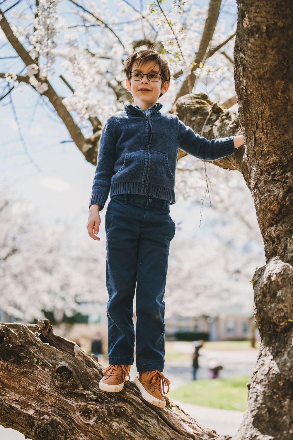 Family photos at Kenwood Cherry Blossoms