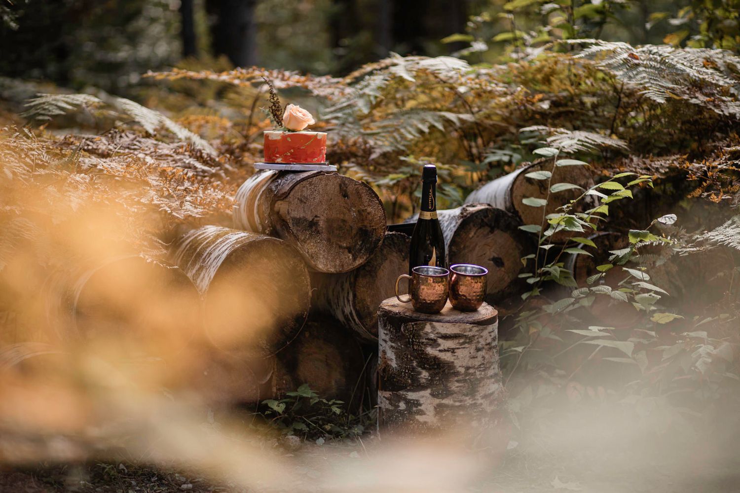 Ceremony celebration details sit on logs in the forest: cake, champagne, glasses in Mont Tremblant, Quebec, Canada.