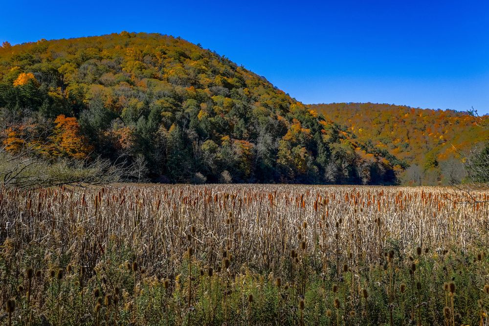 Fall in central pa