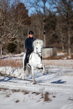 Fredrik Rydström och Höskuldur fra Lian