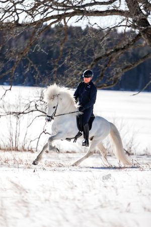 Fredrik Rydström och Höskuldur fra Lian