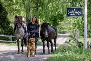 Islandshästfotgraf Sabina som kommer hem till dig för att fotografera din verksamhet