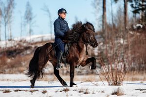 Fredrik Rydström och Mío från Änghaga