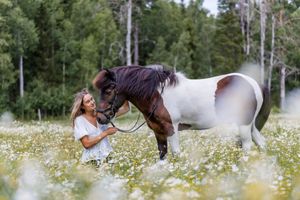 Islandshästfotgraf Sabina är i Stockholm