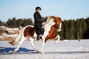 Med fokus på den perfekta töltbilden