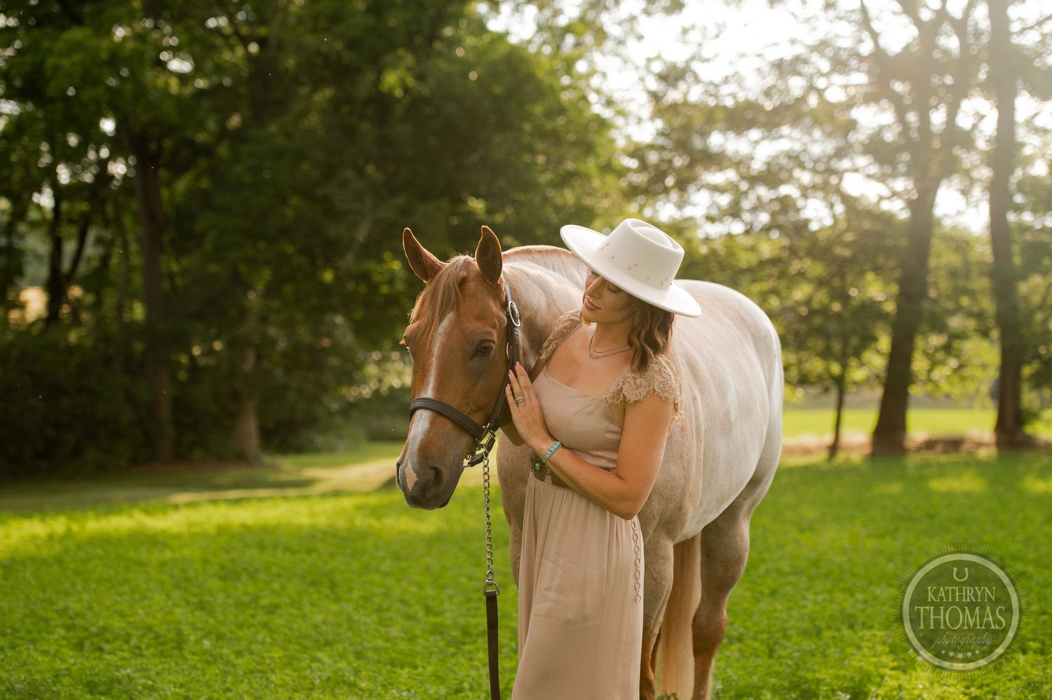Light-colored horse being gently nuzzled in golden afternoon sunlight.