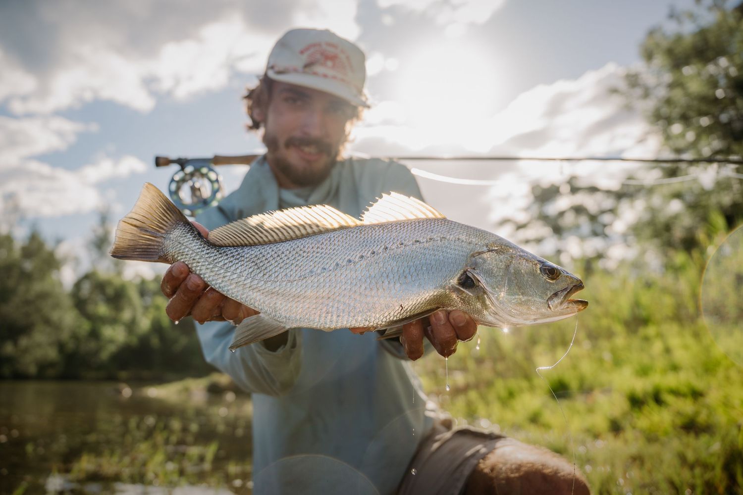 Man holding a large freshly caught fish while fly fishing outdoors on a sunny day near a river.