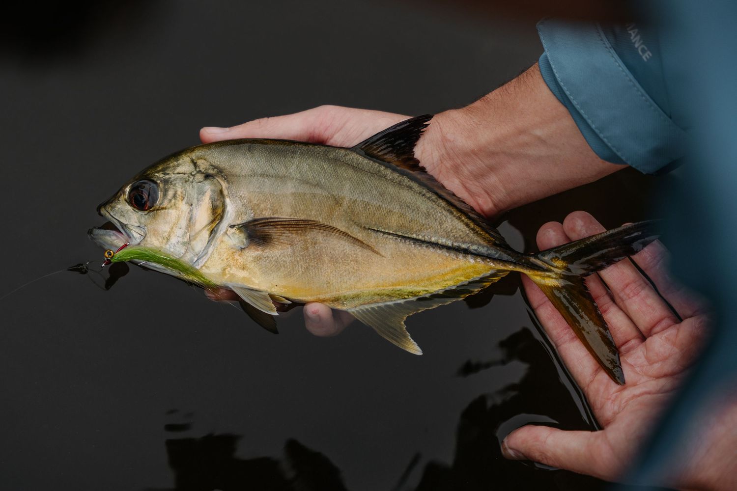 A sequence of seven photos showing someone holding and measuring different freshly caught fish against a measuring board.