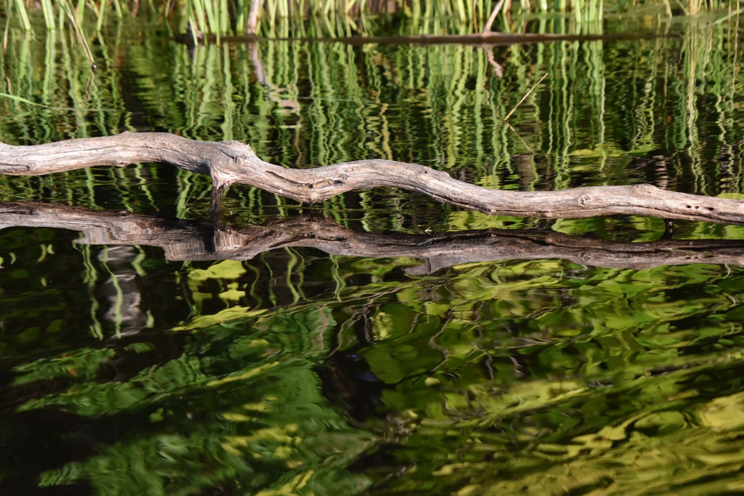 Photography in Marinette Wi