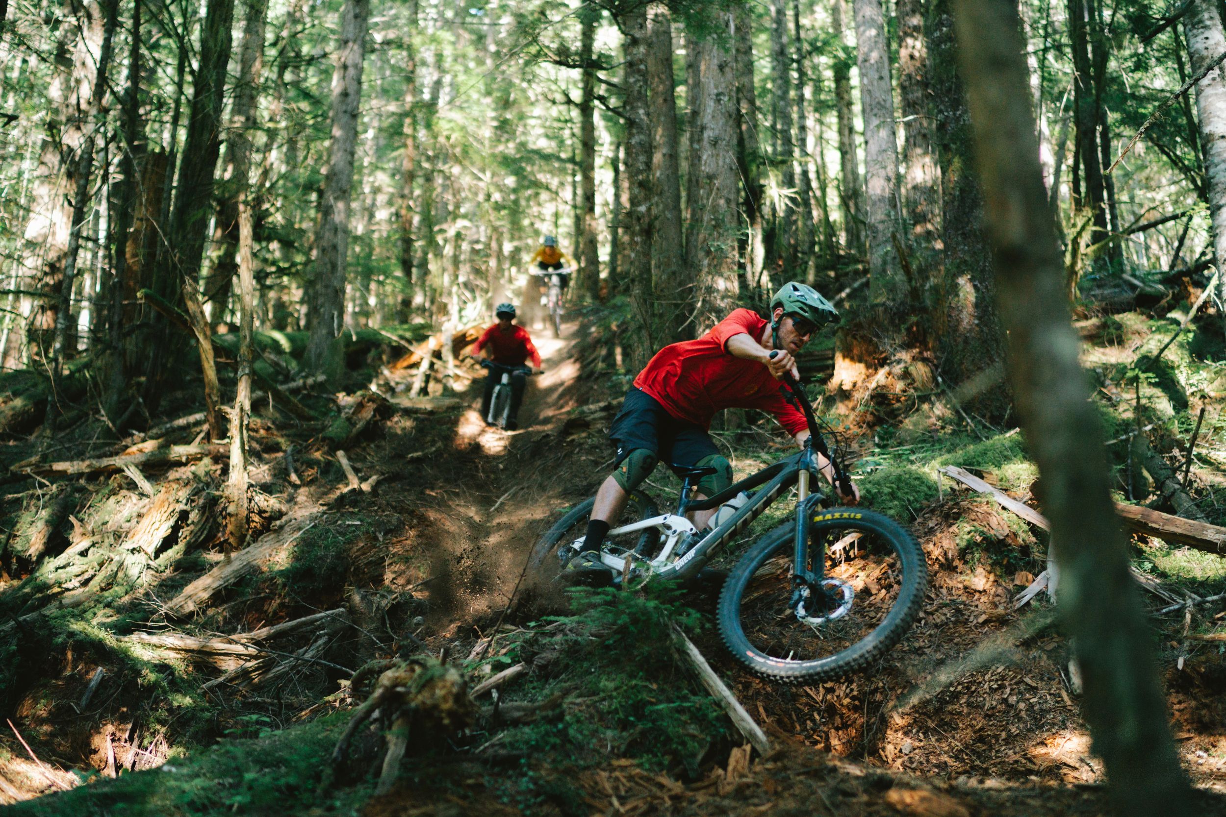 Mountain bikers descend steep woodland trail through dense forest terrain.