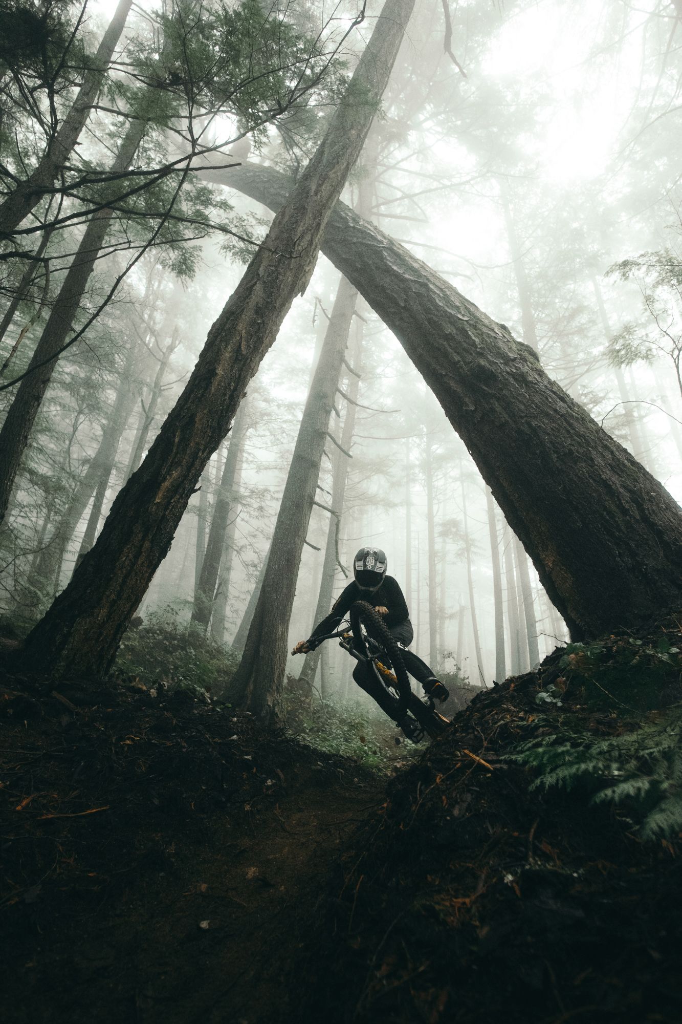 Mountain biker Joel Ducrot jumps through misty forest between tall pine trees. Shot by Margus Riga