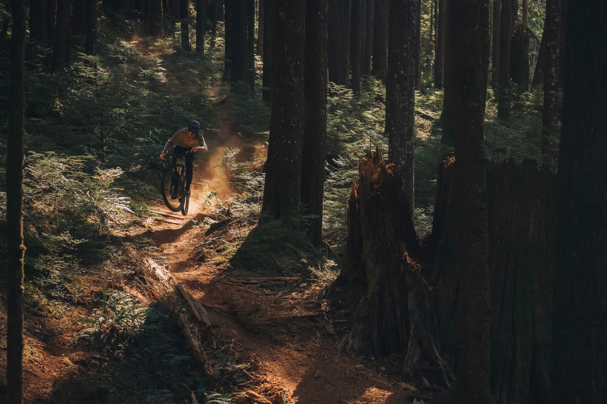 Mountain biker Joel Ducrot ride through sunlit forest trail with dust particles floating in golden light in North Vancouver