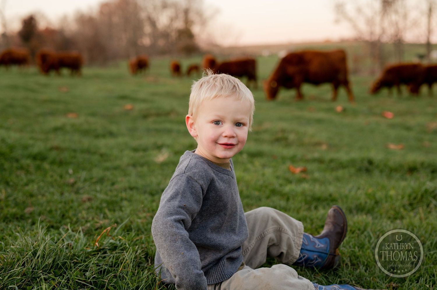 A candid outdoor portrait of a child sitting in grass with Highland cattle grazing behind.