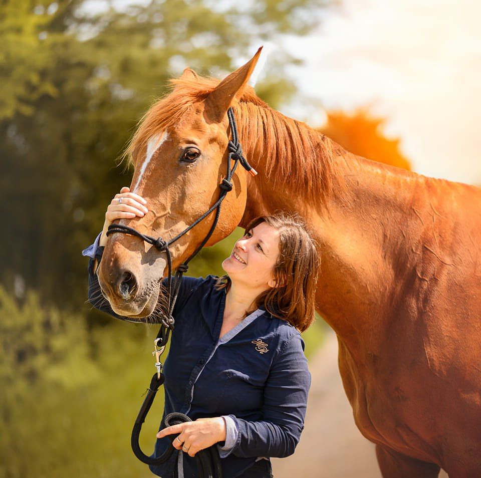 Séance photo près de Madine avec un cheval et son propriétaire dans les champs. Photo en séance photo. Photographe pro en Meuse