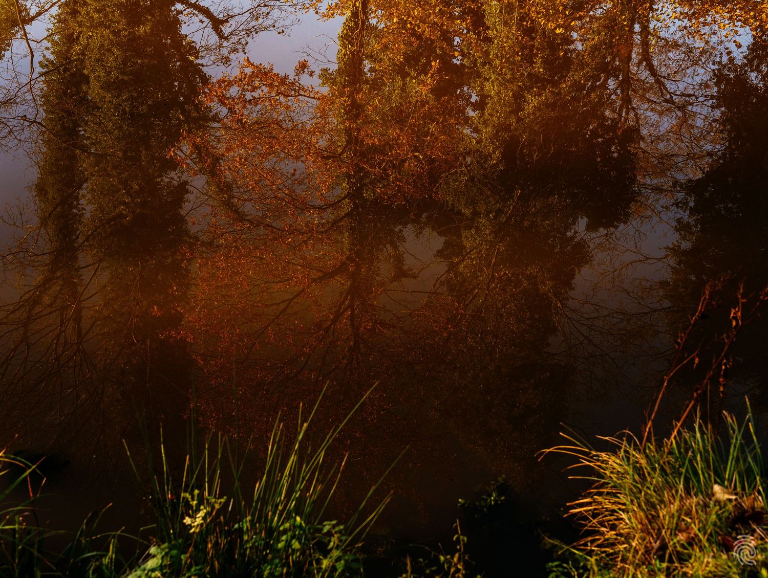 Serene autumn landscape photo of a dark pond surrounded by trees with red and orange fall foliage. Kasteel Bleijenbeek