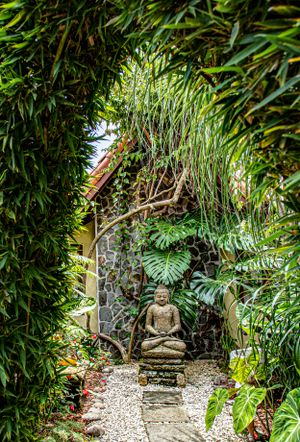Green archway leading to a serene garden, merging nature with architectural elegance in Costa Rica