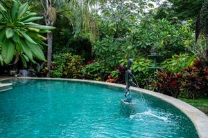 Extensive tropical garden with fruit trees and exotic flowers in a country house in Atenas, Costa Rica. An oasis of peace