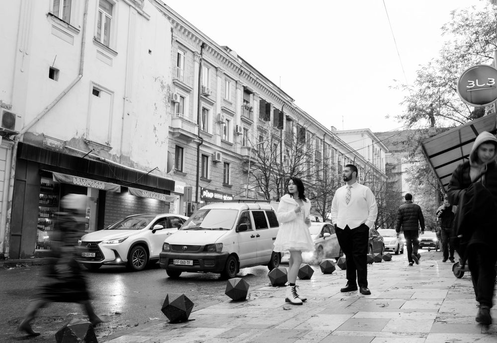 People and dogs walk on a wet street lined with parked cars and buildings on a rainy day.