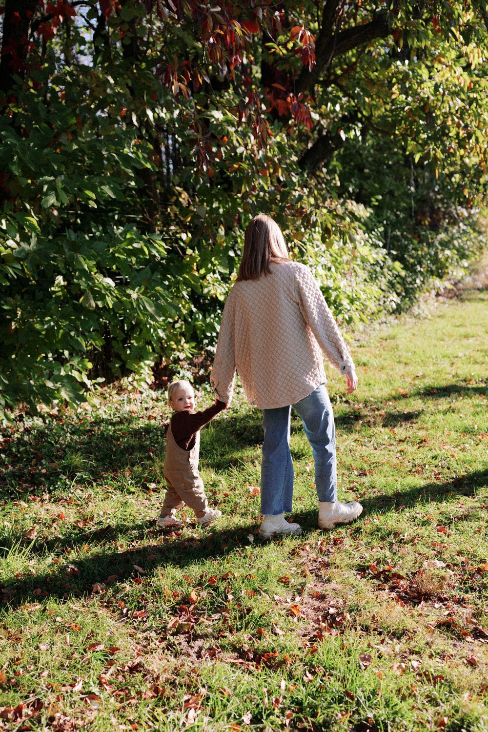 Walking through an autumn orchard with fallen leaves scattered on the ground.
