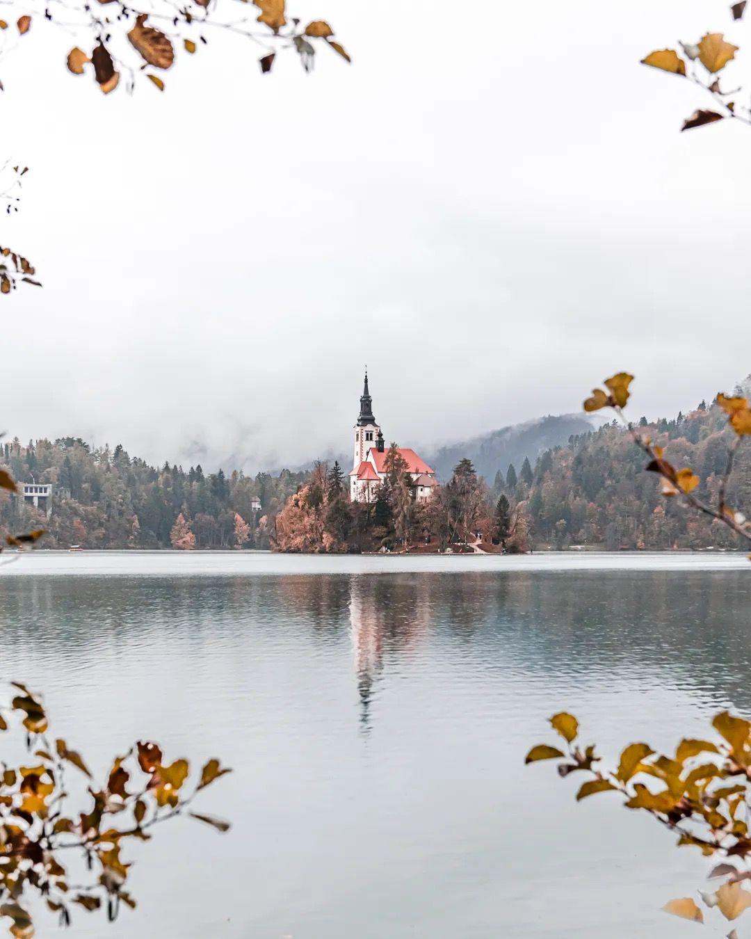 Lake Bled church seen through autumn leaves across still water.