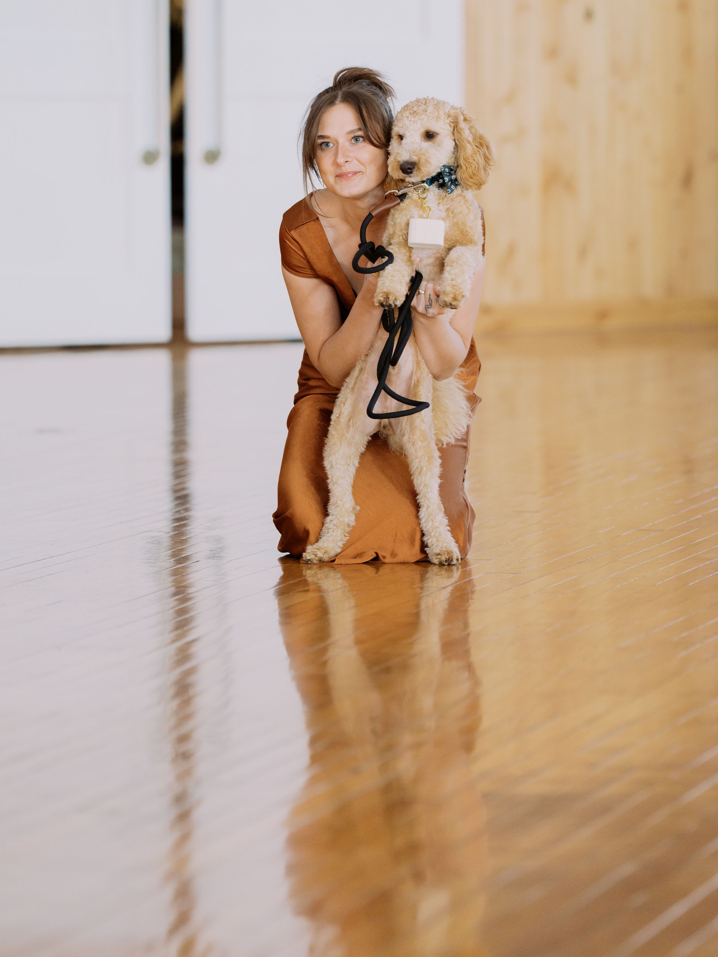 Person in brown sweater plays with small white dog on polished hardwood floor in progressive action sequence.