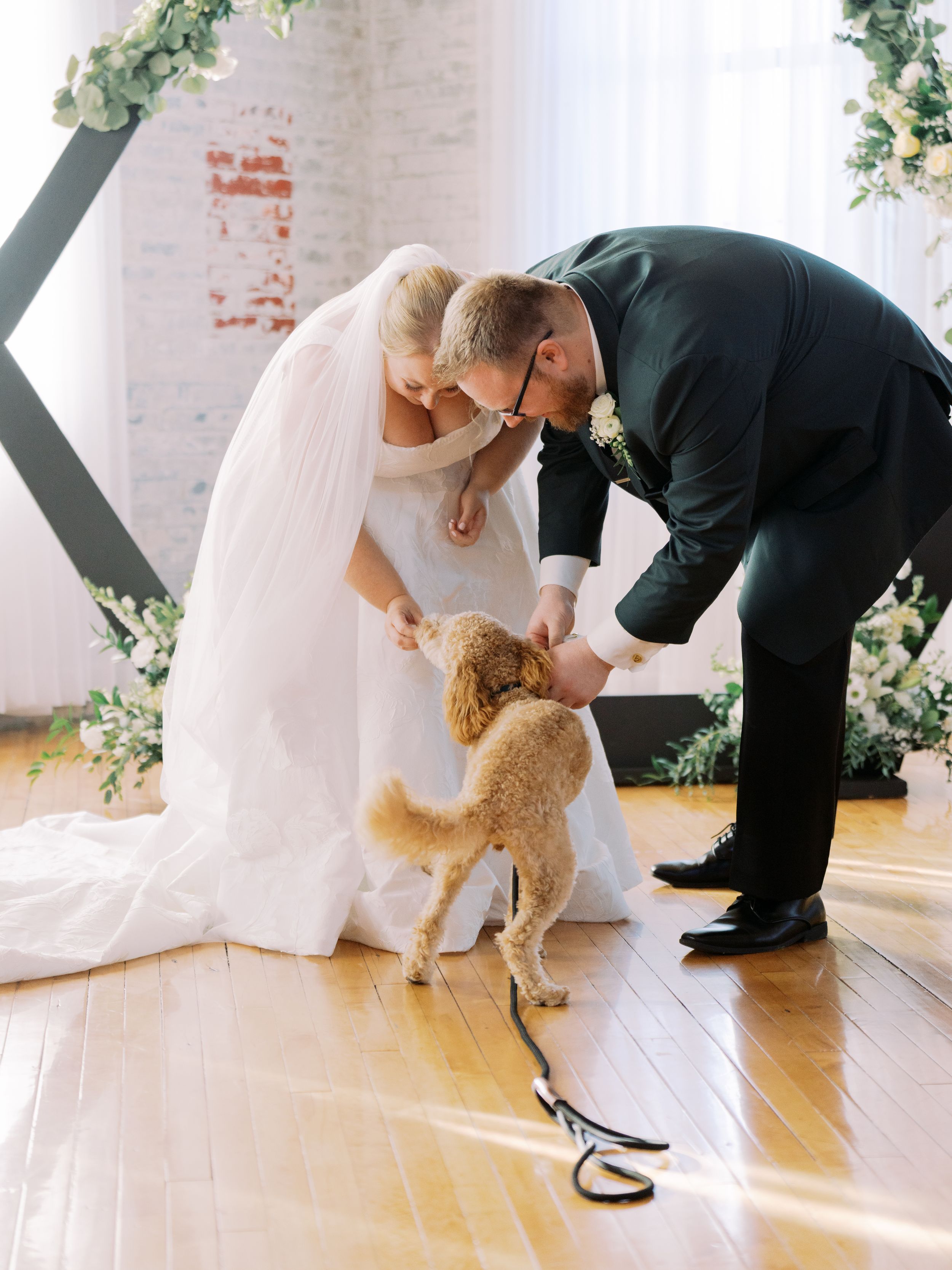 A fluffy goldendoodle dog interacts with someone in formal attire on a light wooden floor during a photo session.