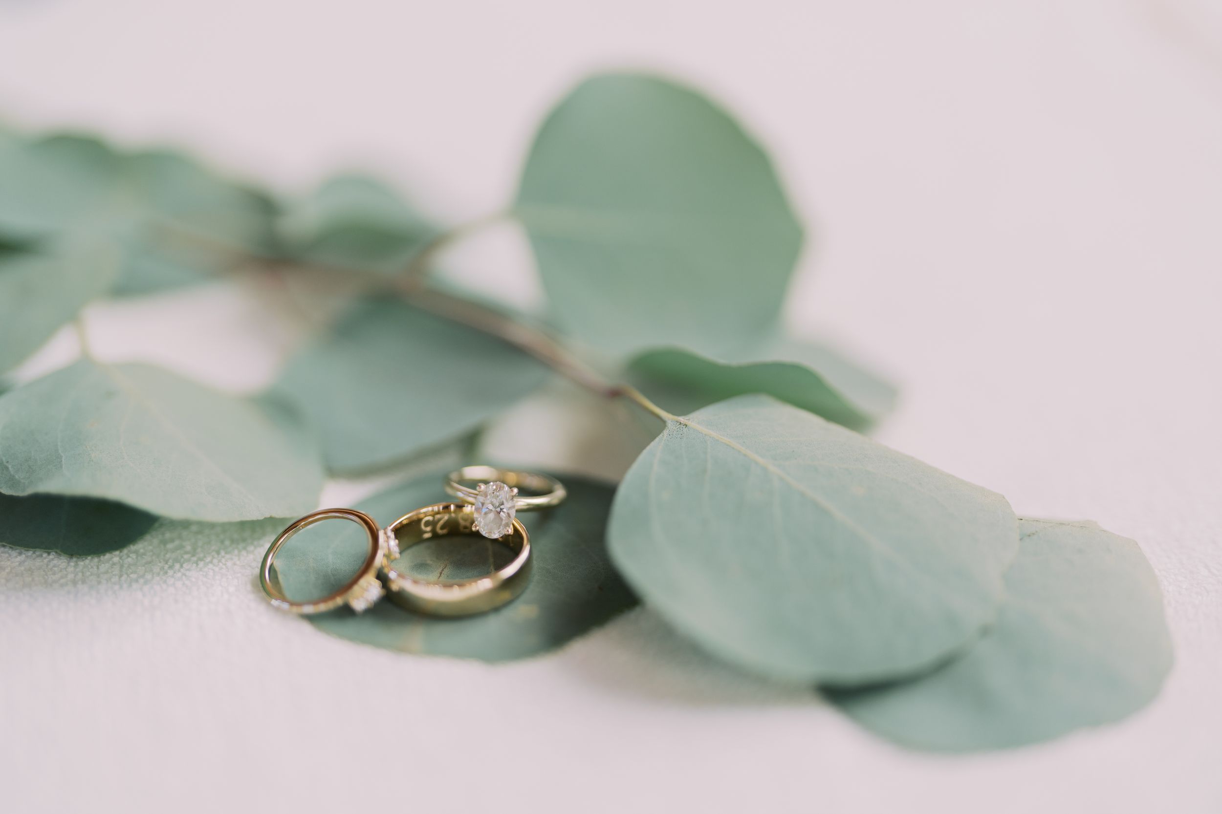 Wedding rings nestled among soft green eucalyptus leaves create an elegant bridal detail shot.